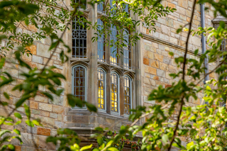 The gothic windows of Branford peek through tree branches 